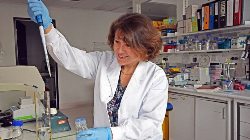 DNA regulator offers new hope for Hodgkin lymphoma treatment