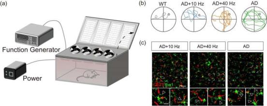 Photobiomodulation for Alzheimer’s disease with modulated 1070-nm light