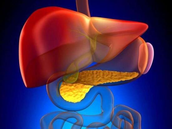IBD检查原发性硬化性胆管炎的患病率