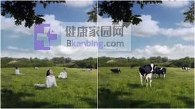 Company apologizes for comparing women to cows (VIDEO)