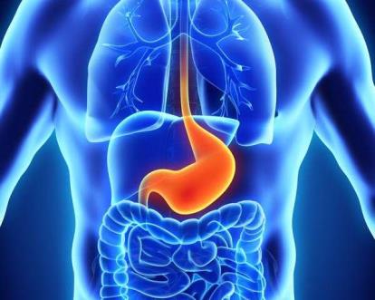 Changes to normal stomach co<em></em>ntractions can be an early signal of gastric disease