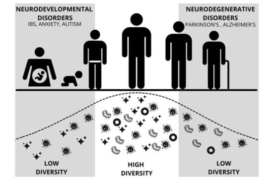 自闭症和大脑-肠道微生物群之间潜在联系的研究