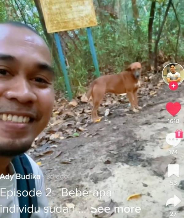 Dog, believed abandoned, waits for owner at hut on hiking trail in KL (VIDEO)