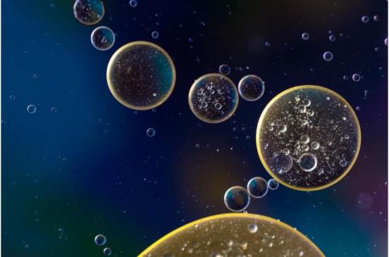 静止的人体免疫细胞遗传分析的新方法