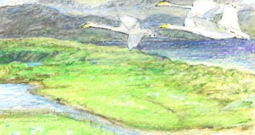 The Dooaghtry machair has not been fertilised, fenced or built on, or used as a caravan park, golf l<em></em>inks, football pitch or airstrip. Painting: Michael Viney