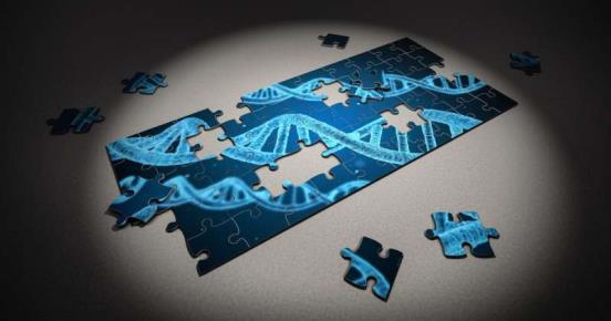 新的精准医疗工具发现了隐藏的基因联系，可以改善个性化医疗