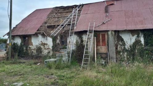 The 200-year-old derelict cottage in Cork wher<em></em>e the nest of three seven-week-old barn was discovered by builders during renovation work. Photograph: Alan McCarthy/BirdWatch Ireland