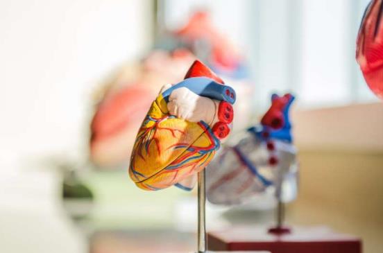 研究人员使用人工智能通过患者的Apple Watch心电图检测微弱的心脏泵