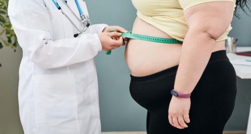 Being overweight or obese is the fourth most common risk factor for non-infectious disease. Photograph: iStock