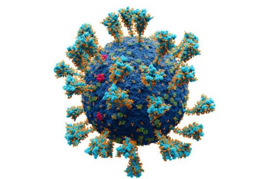 新疫苗会更好地对抗冠状病毒变异吗?五个问题回答