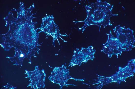 研究人员开发了新的计算工具来解释癌症突变的临床意义