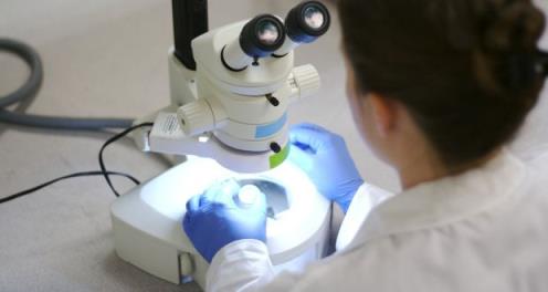 All cervical cancer samples from Irish women this year have been sent abroad for screening. Photograph: Getty Images