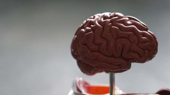 科学家发现了延缓儿童大脑发育的新遗传疾病