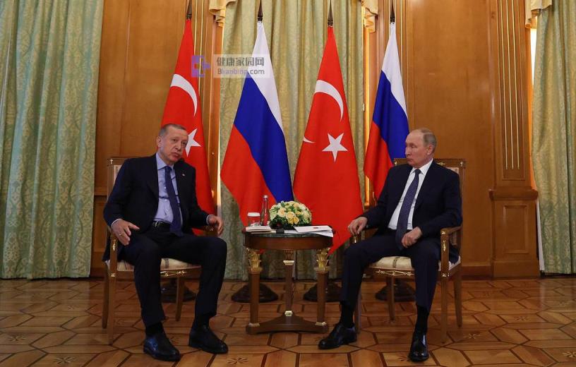Turkey's President Recep Tayyip Erdogan and Russia's President Vladimir Putin  Vyacheslav Prokofyev/TASS