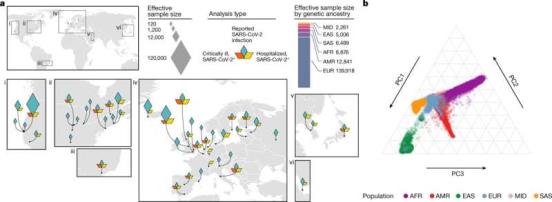 Identification of new genomic regions that influence the severity of COVID-19 disease