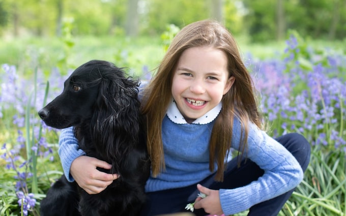 夏洛特公主带着她的狗狗朋友拍了一张七岁生日的新照片