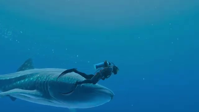 《永恒蔚蓝：流光》“海洋之声”预告 5月2日发售