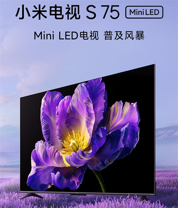 小米电视 S75 Mini LED 开售，首发价为 4599 元